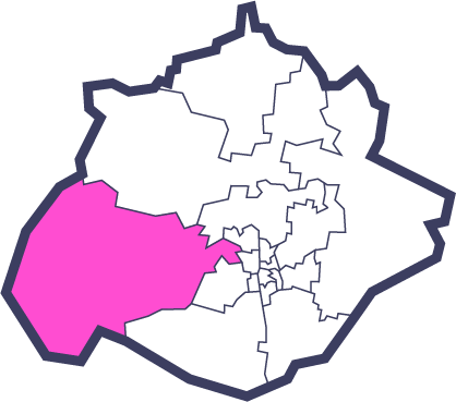 Distrito VIII